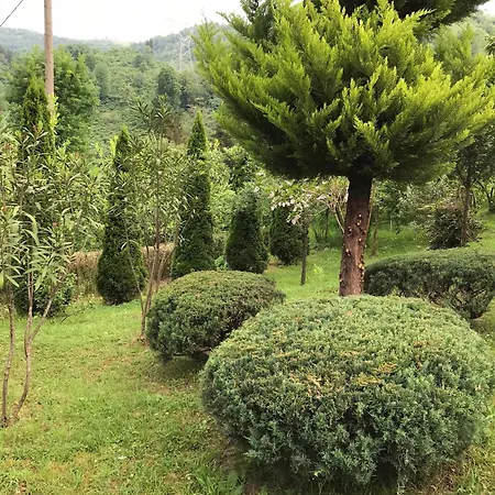 Yomra Ikisu Garden House Holiday home Trabzon