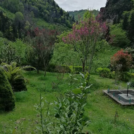 Holiday home Yomra Ikisu Garden House