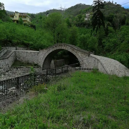 Yomra Ikisu Garden House Holiday home Trabzon